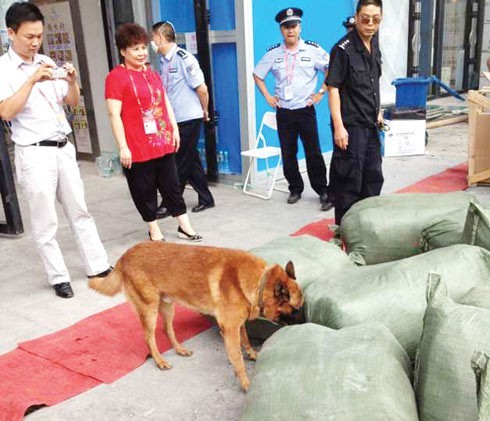 南寧國際會展中心引進(jìn)警犬替代X光機(jī)檢測大型包裹[圖]